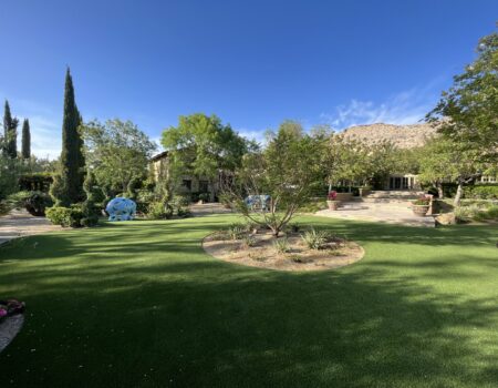 A large yard with trees and bushes in the background.